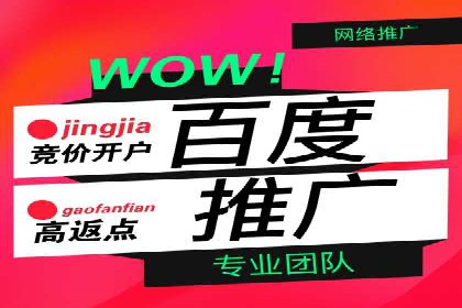百度竞价广告投放技巧及某行业成功案例