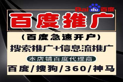 竞价广告的智能投放：XX平台的创新实践